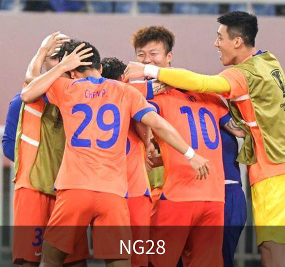 NG28概况